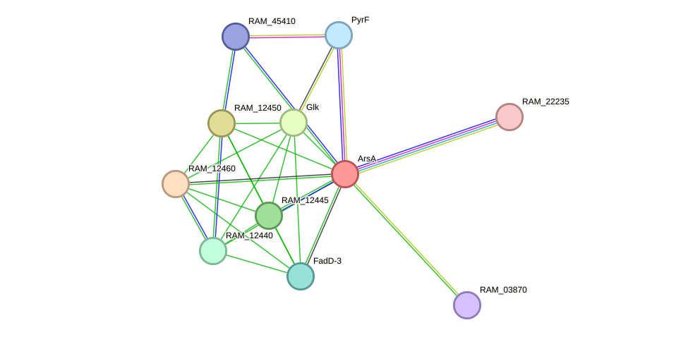 STRING protein interaction network