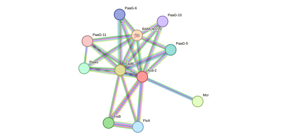 STRING protein interaction network