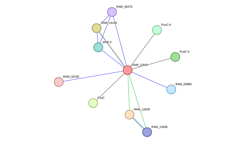 STRING protein interaction network