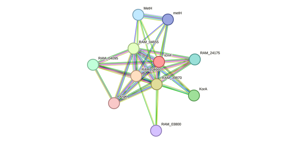 STRING protein interaction network
