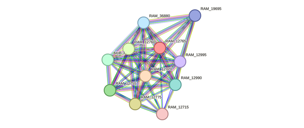 STRING protein interaction network