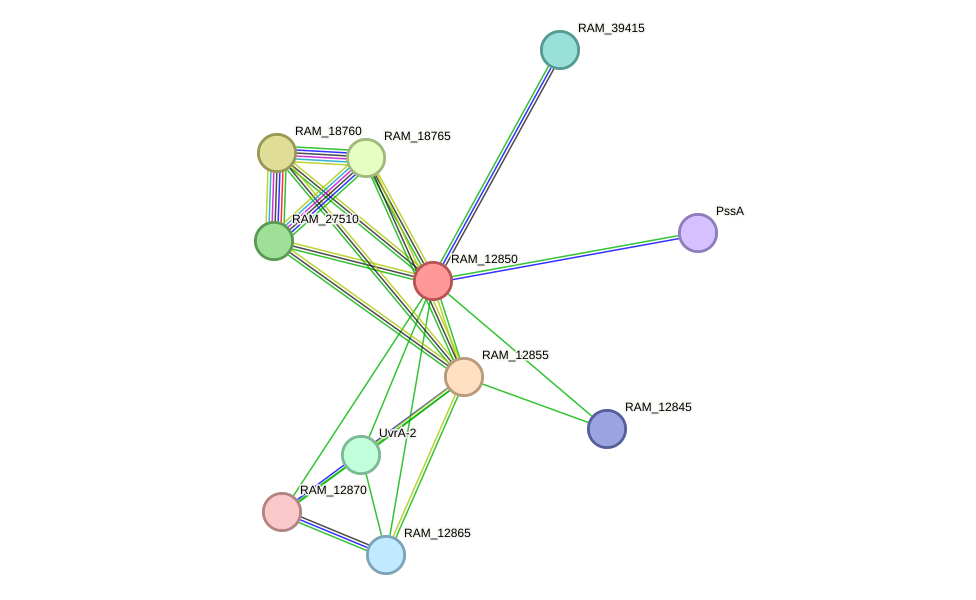 STRING protein interaction network