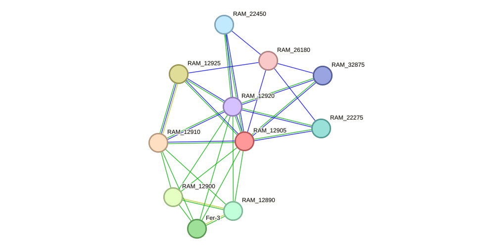 STRING protein interaction network