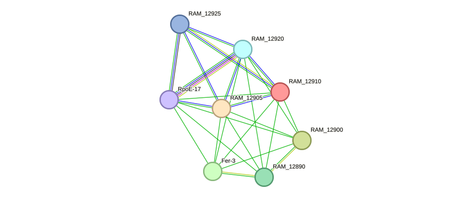 STRING protein interaction network