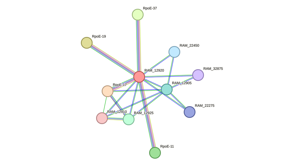 STRING protein interaction network