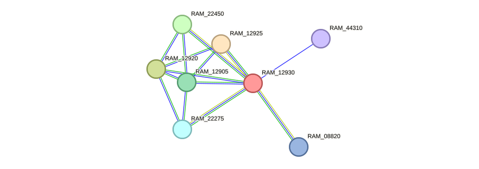 STRING protein interaction network