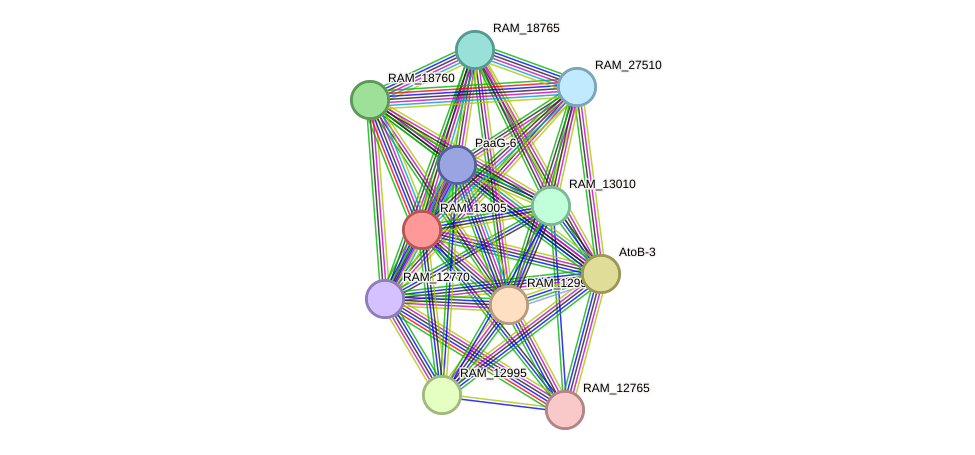 STRING protein interaction network