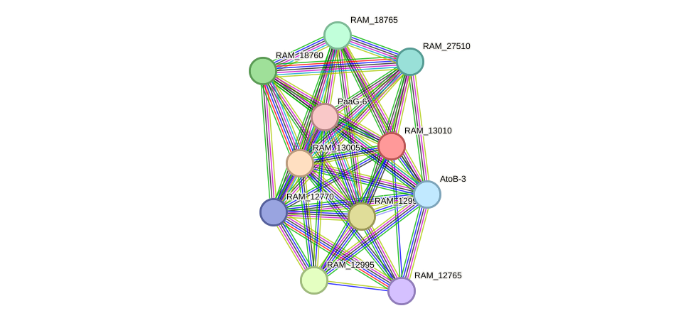 STRING protein interaction network