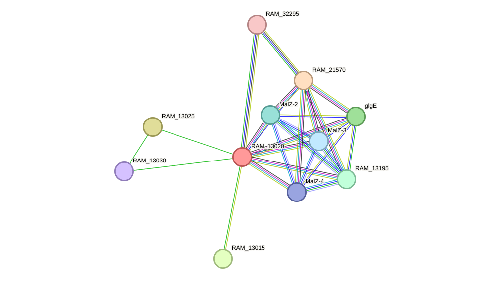 STRING protein interaction network