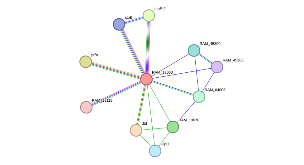STRING protein interaction network