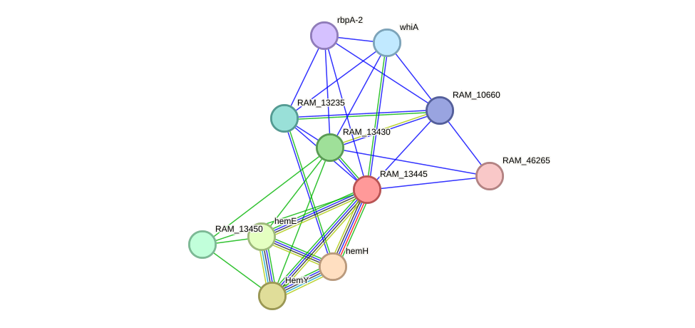 STRING protein interaction network