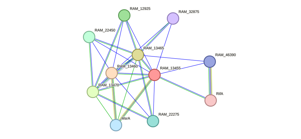 STRING protein interaction network