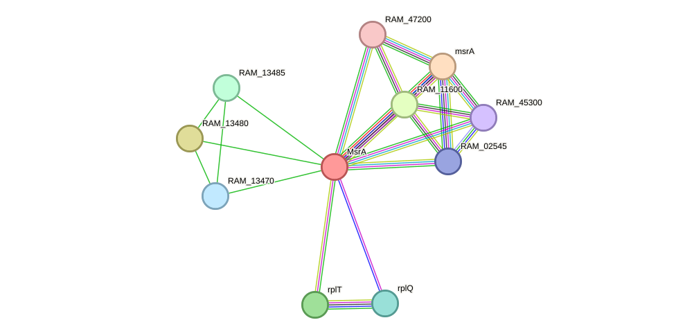 STRING protein interaction network