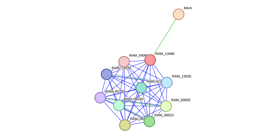 STRING protein interaction network