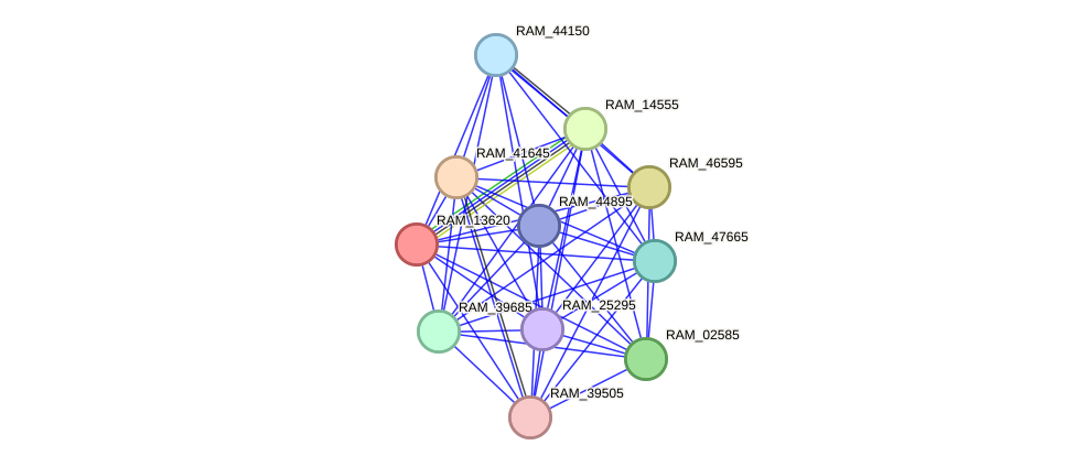 STRING protein interaction network