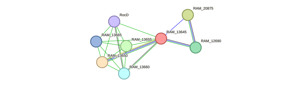 STRING protein interaction network