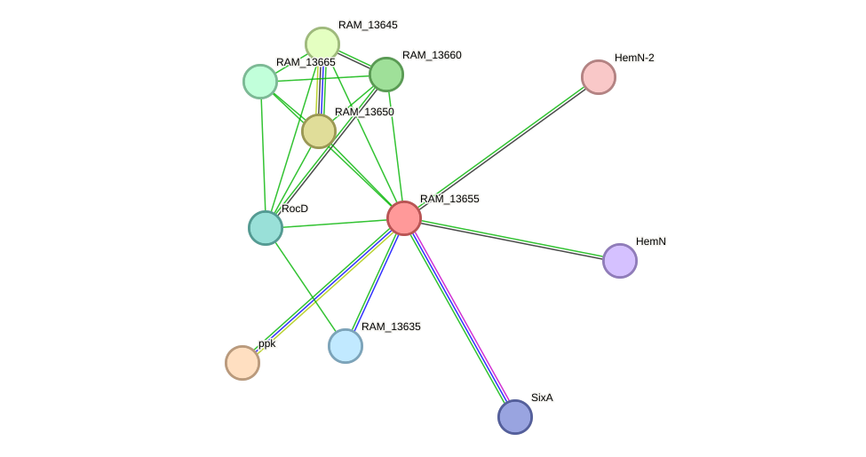 STRING protein interaction network