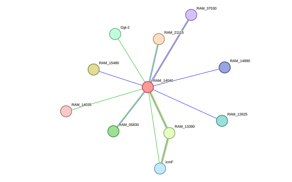 STRING protein interaction network