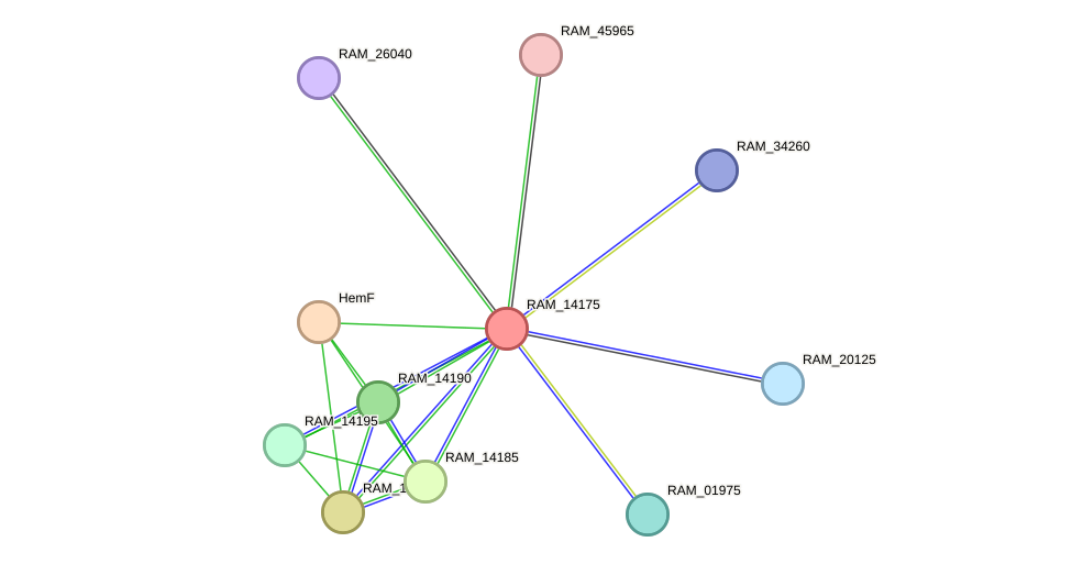 STRING protein interaction network