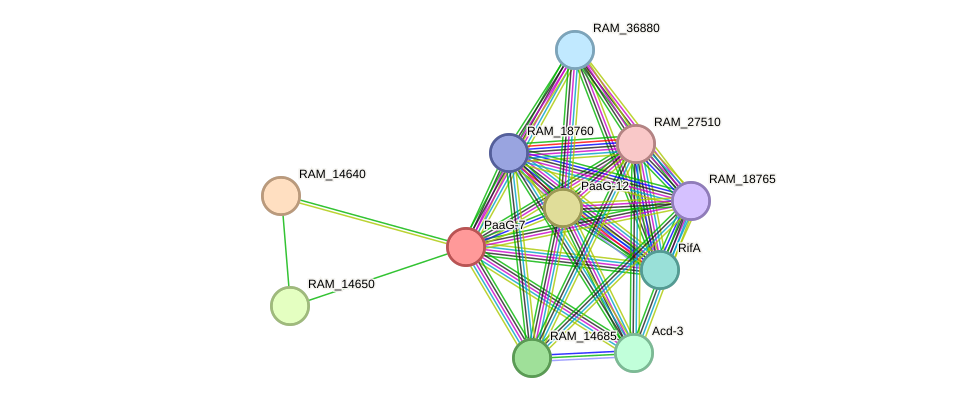 STRING protein interaction network
