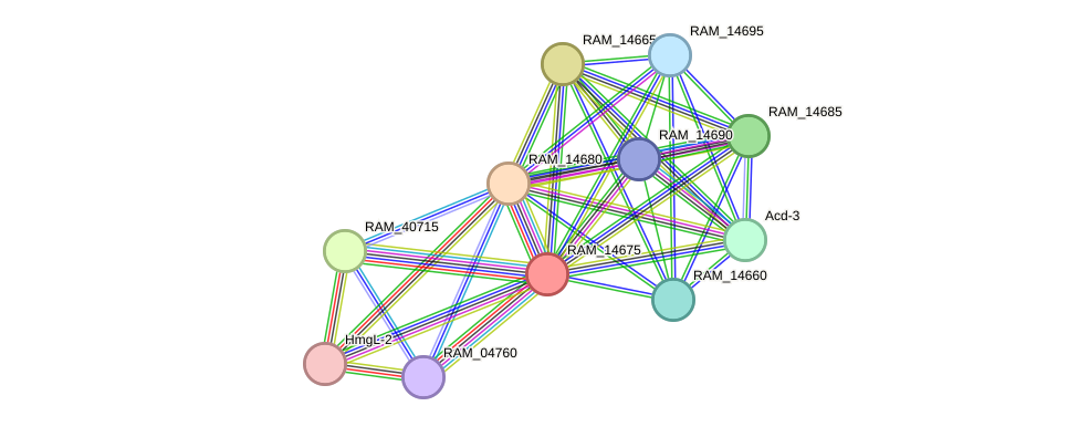 STRING protein interaction network
