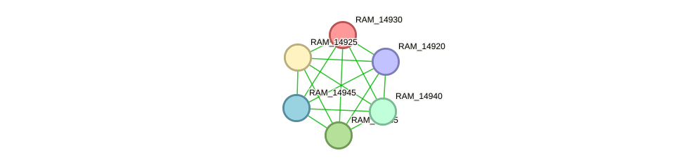 STRING protein interaction network
