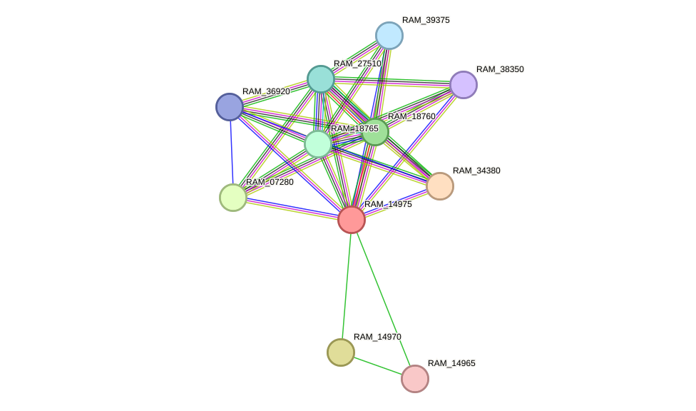 STRING protein interaction network