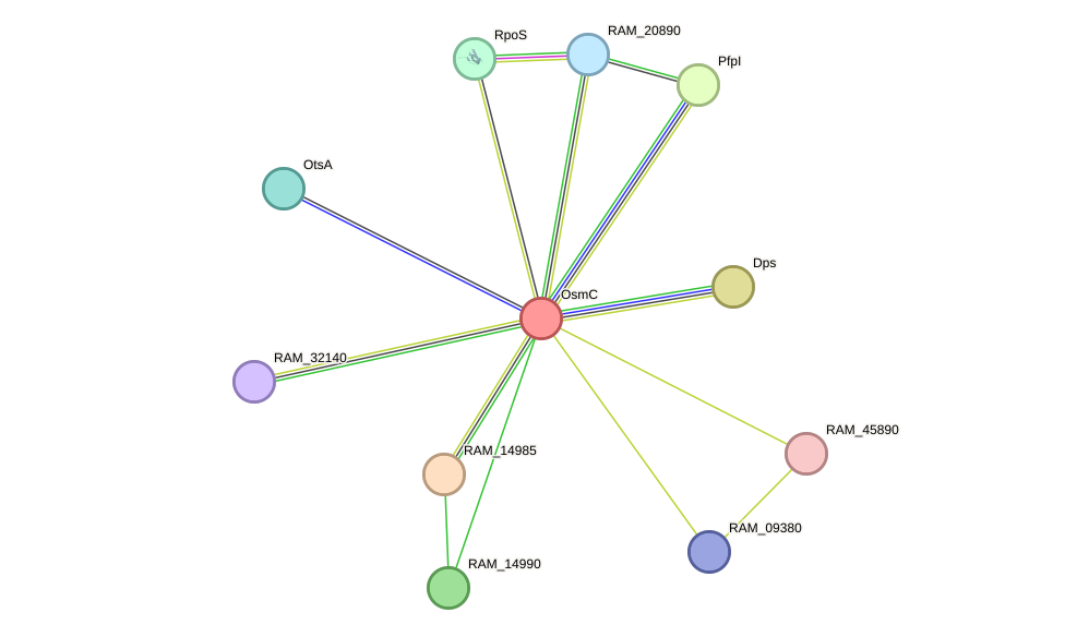 STRING protein interaction network