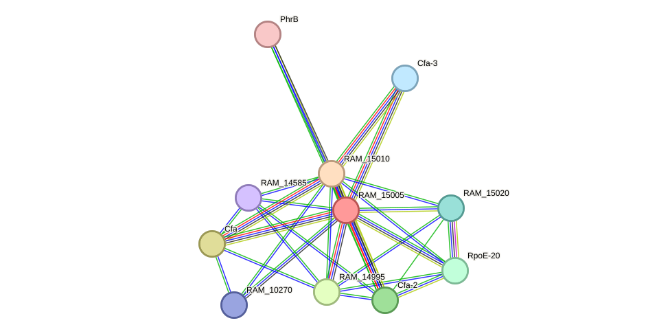STRING protein interaction network