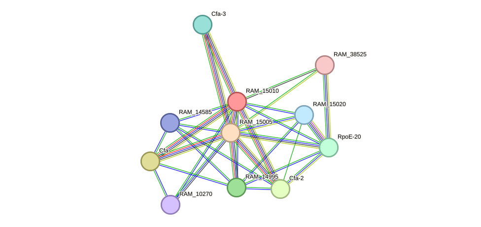 STRING protein interaction network