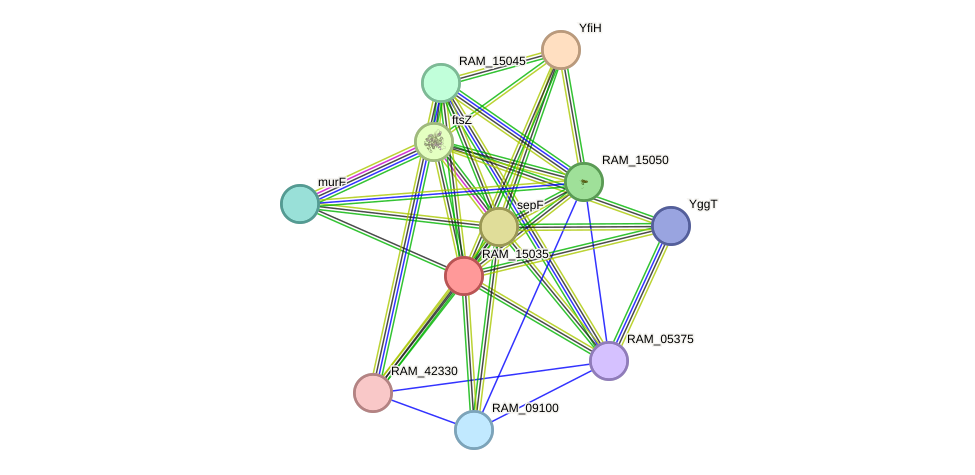STRING protein interaction network