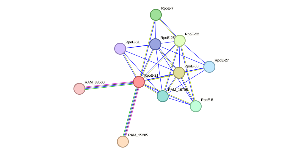 STRING protein interaction network