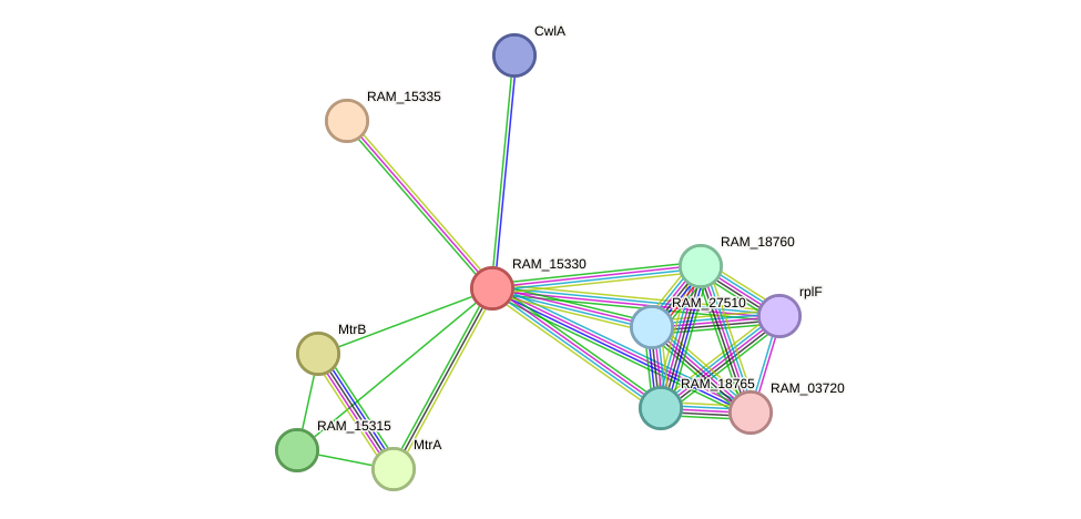 STRING protein interaction network