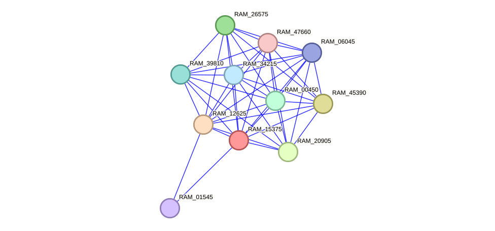 STRING protein interaction network