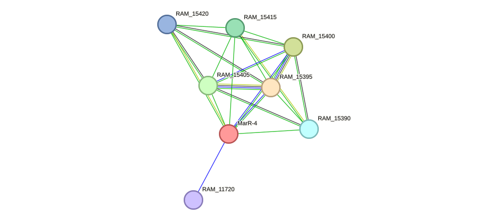 STRING protein interaction network