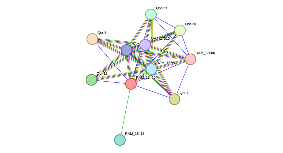STRING protein interaction network