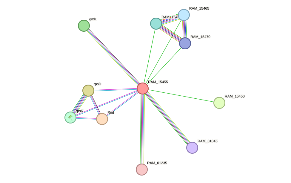 STRING protein interaction network