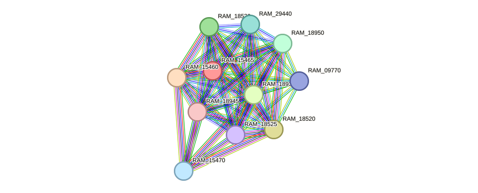 STRING protein interaction network