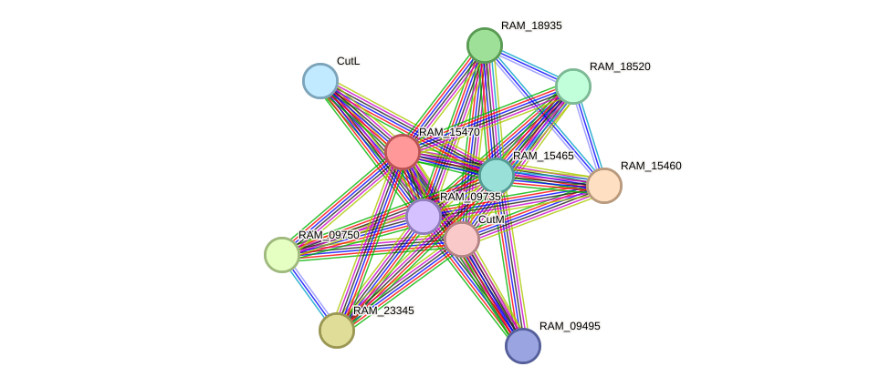 STRING protein interaction network