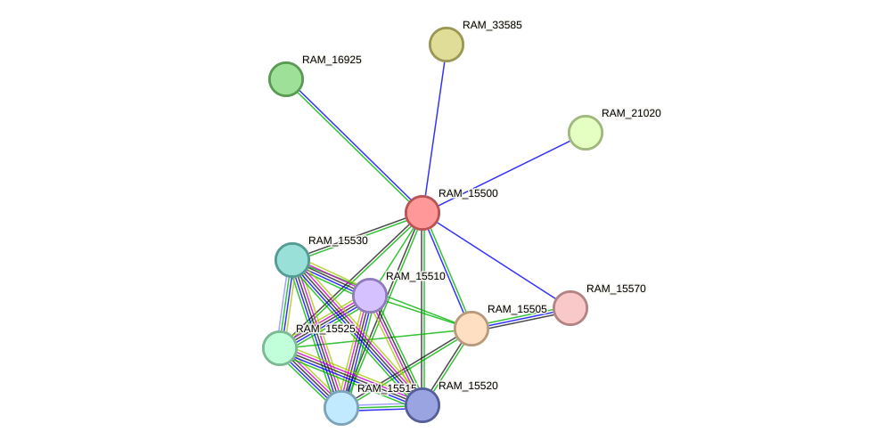 STRING protein interaction network