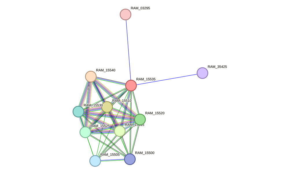 STRING protein interaction network