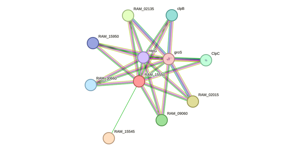 STRING protein interaction network