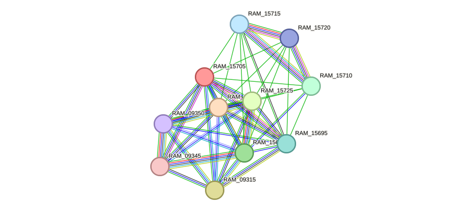 STRING protein interaction network