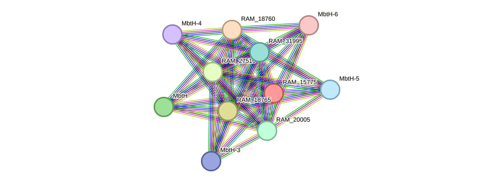 STRING protein interaction network