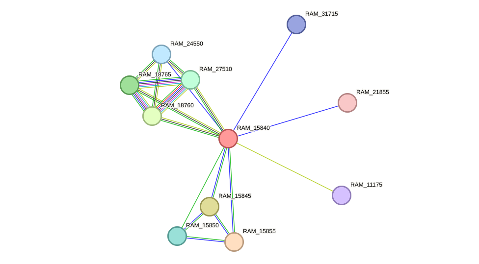 STRING protein interaction network