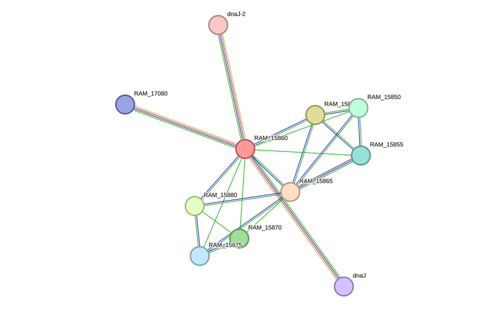 STRING protein interaction network