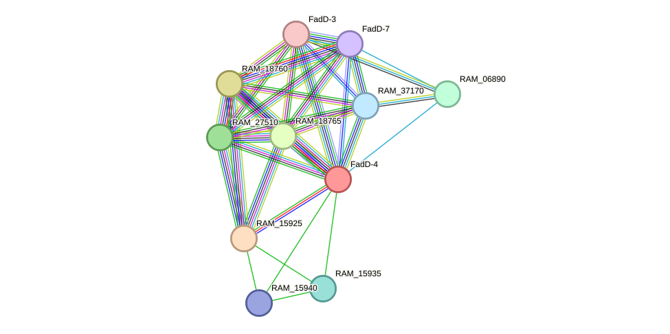 STRING protein interaction network