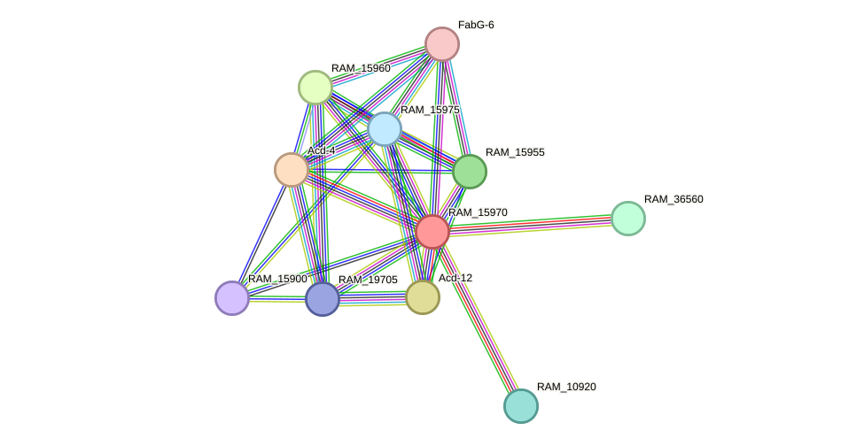 STRING protein interaction network