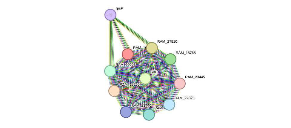 STRING protein interaction network