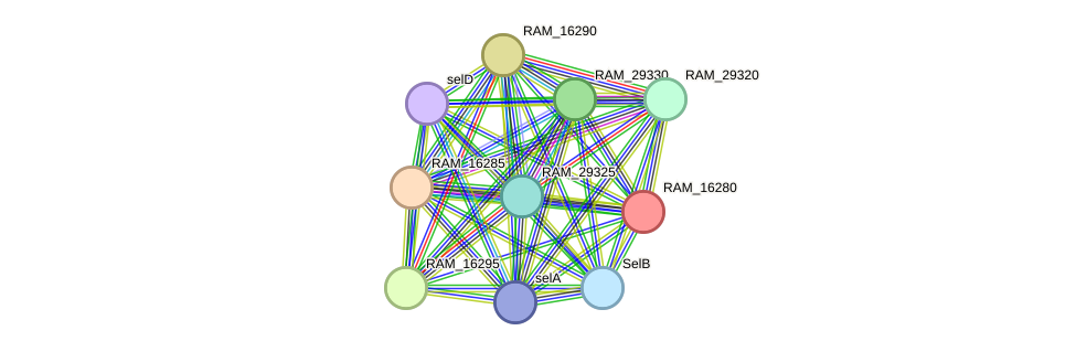 STRING protein interaction network